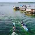 Wisata Kepulauan Wakatobi Petualangan Menakjubkan di Laut   Indonesia Travel