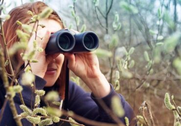 Birdwatching Seni Melihat dengan Telinga dan Hati