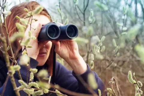 Birdwatching Seni Melihat dengan Telinga dan Hati