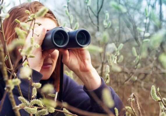 Birdwatching Seni Melihat dengan Telinga dan Hati