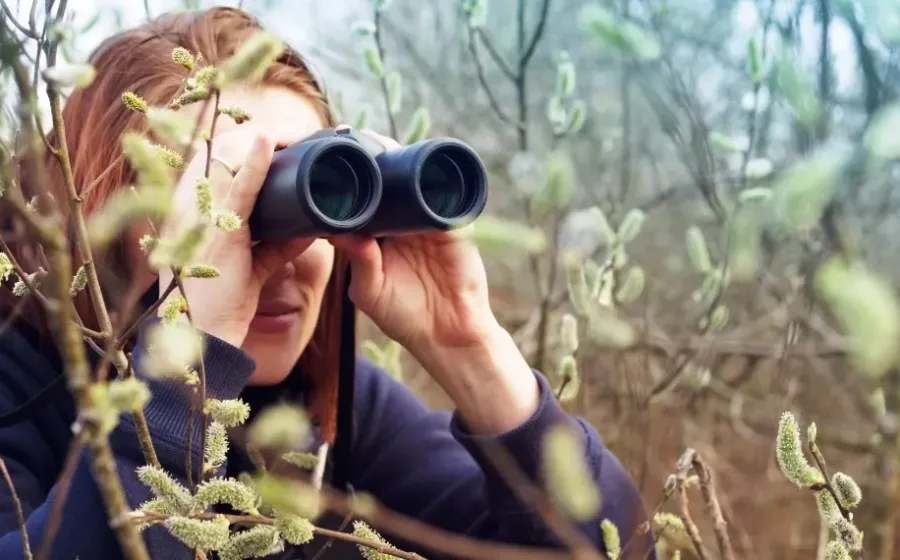 Birdwatching Seni Melihat dengan Telinga dan Hati