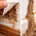 Tanda Rumah Ada Rayap yang Jarang Orang Tahu