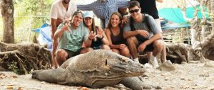 Tips Memilih Komodo Boat Tour Sesuai Budget dan Waktu Liburan