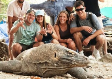 Tips Memilih Komodo Boat Tour Sesuai Budget dan Waktu Liburan