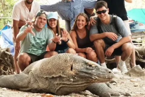Tips Memilih Komodo Boat Tour Sesuai Budget dan Waktu Liburan