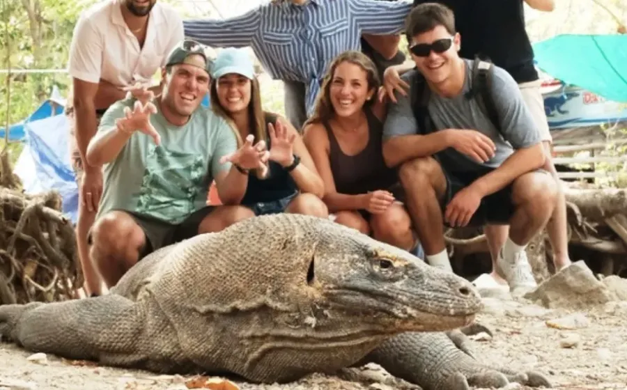 Tips Memilih Komodo Boat Tour Sesuai Budget dan Waktu Liburan