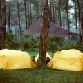 Suasana hutan pinus sejuk di Lembang Bandung untuk wisata alam untuk healing akhir pekan