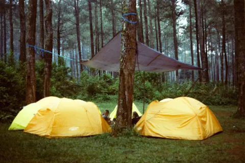 Suasana hutan pinus sejuk di Lembang Bandung untuk wisata alam untuk healing akhir pekan