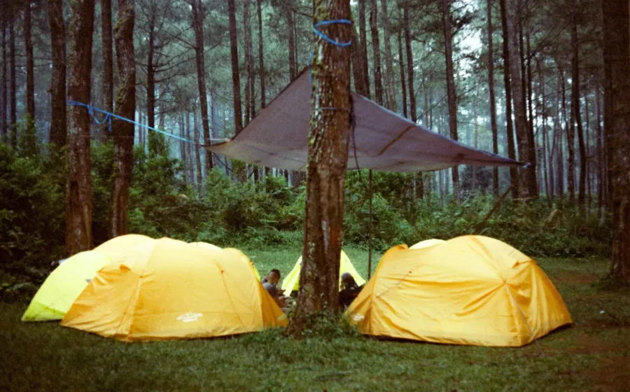 Suasana hutan pinus sejuk di Lembang Bandung untuk wisata alam untuk healing akhir pekan